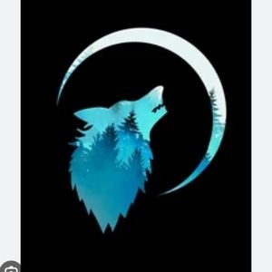 Meet your Posher, Darwin